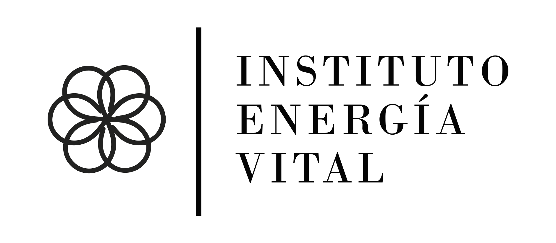 Instituto Energía Vital